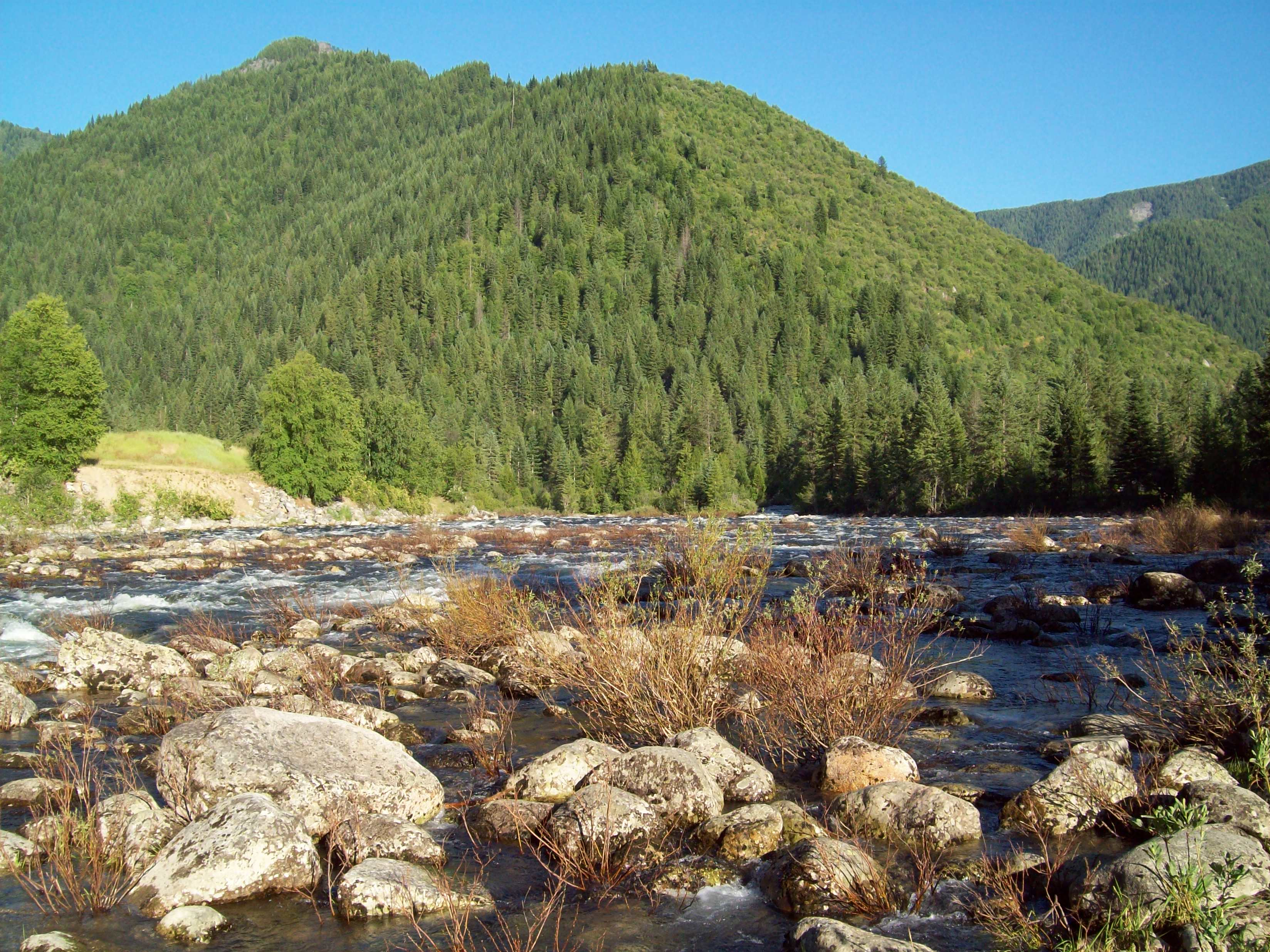 Lochsa River Idaho